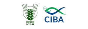 Ciba