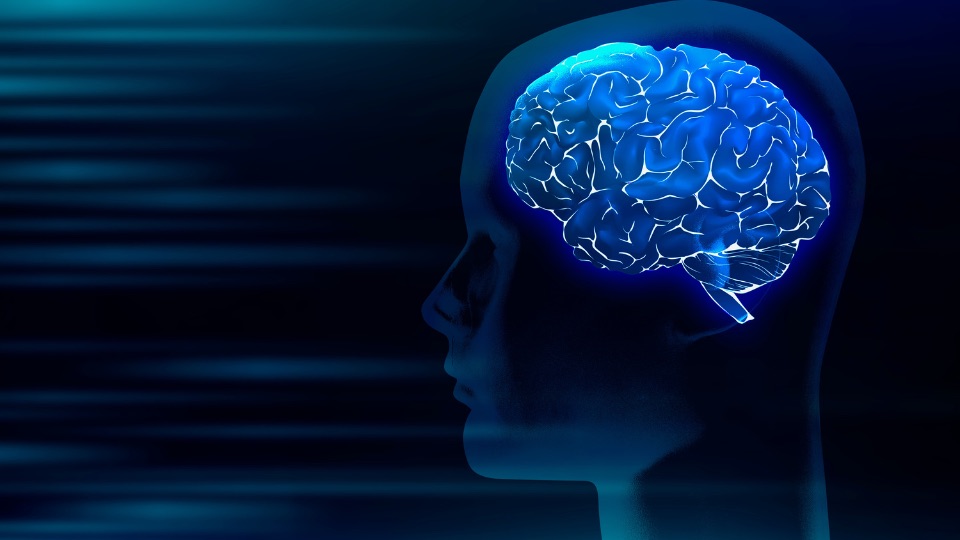 Skills & Expertise Images - Axiom Solutions - Domain Expertise